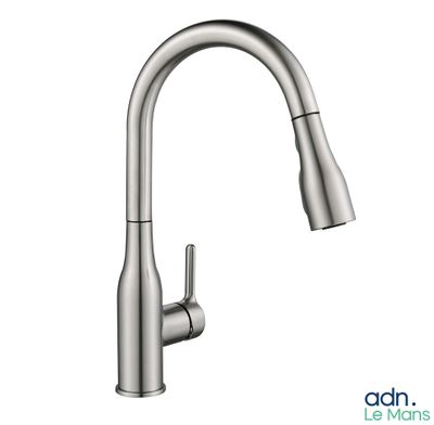 kitchen faucet with pull out sprayer and soap dispenser