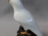 a white bird sitting on top of a rock