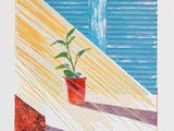 dessin représentant une plante en pot devant une fenêtre aux volets bleus