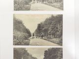 three black and white photos of horses and people on a road