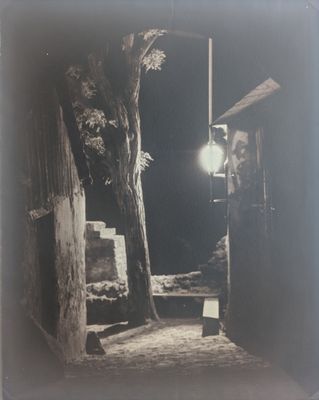 une photo en noir et blanc représentant un lampadaire et un arbre