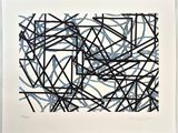 an image of a black and blue drawing on a white paper