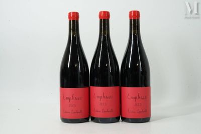 trois bouteilles de vin rouge posées côte à côte sur une table