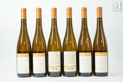 six bouteilles de vin sont alignées sur une surface blanche