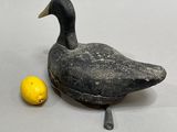 a duck that is next to a lemon on a table