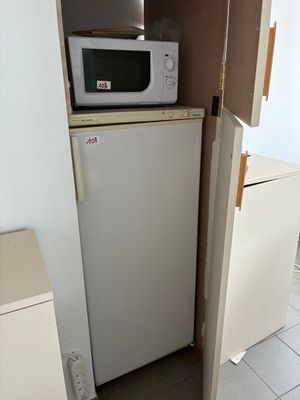 un réfrigérateur blanc et un micro-ondes dans une petite pièce