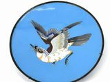 a plate with a bird painted on it on a white background