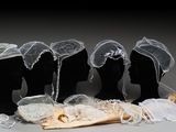 trois têtes de mannequin ornées de voiles blancs et de dentelle