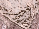 Photo 2/2 du lot