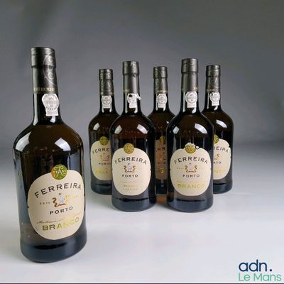 plusieurs bouteilles de vin sont alignées sur une surface blanche