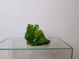 a glass table with a green frog figurine on top of it