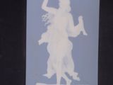 a white silhouette of a woman holding a bird