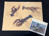 a picture of a picture of a lobster and a picture of a lobster