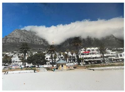une vue sur une plage avec des palmiers et une montagne en arrière-plan