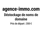 Photo 1/1 du lot