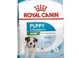 Royal Canin : aliments pour chiots « Mini Puppy »