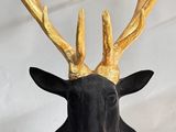 une tête de cerf noire ornée de bois dorés