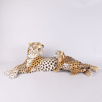 deux léopards couchés l'un à côté de l'autre sur une surface blanche