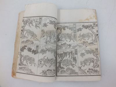 un vieux livre sur lequel figure une illustration d'animaux
