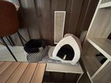 a cat that is sitting inside of a cat house