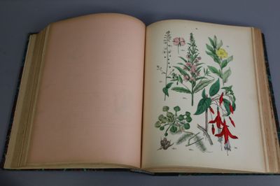 an open book with a picture of flowers on it