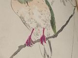 a drawing of a bird sitting on a branch of a tree
