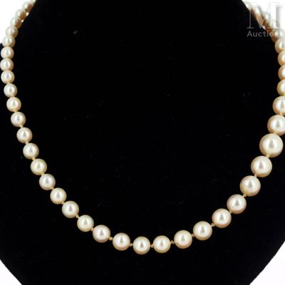 a white pearl necklace on a black mannequin necklace