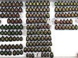 many different beetles on the wall in this room