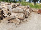 a man riding a skateboard down a street next to a pile of logs