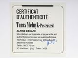 Photo 2/3 du lot