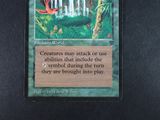 an image of a card with a picture of a forest