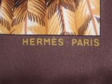 hermes paris silk tie in brown and gold