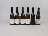 six bouteilles de vin alignées sur une surface blanche