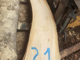 une photo d'un morceau de bois sur lequel figure un numéro