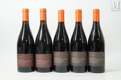 six bouteilles de vin rouge sont alignées sur une surface blanche