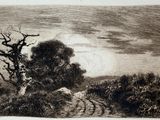 an image of a drawing of a tree in the middle of a field