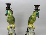 pair of green and yellow parrots sitting on top of each other