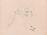 drawing of a cat ' s head in profile on a piece of paper