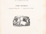 an old book with a picture of a dog laying on top of it