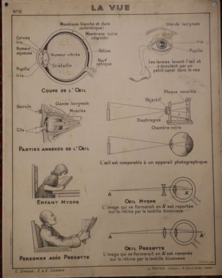 diagram of a person ' s eye and other parts of the eye