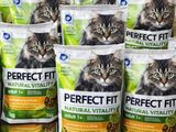 several bags of perfect fit natural vital cat food sitting on a table