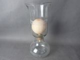 a glass vase with an egg in it on a table