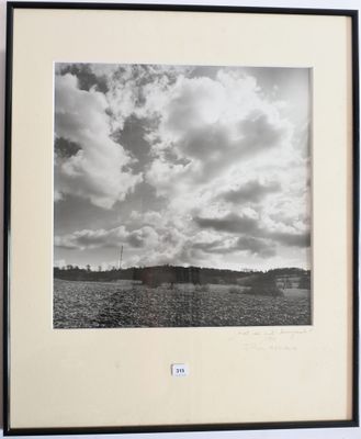 photographie en noir et blanc d'un champ de coton sous un ciel nuageux