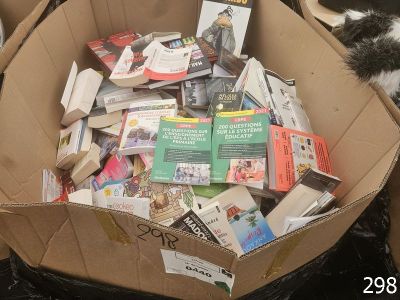 une boîte en carton remplie de livres et un chat allongé par terre