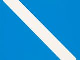 an image of a blue and white road sign