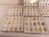 many different types of insects in a display case