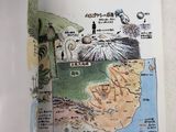 Photo 4/6 du lot