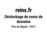 Photo 1/1 du lot