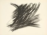 an image of a black and white drawing of a bunch of brush strokes