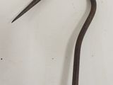 a close up of a metal hook on a white surface